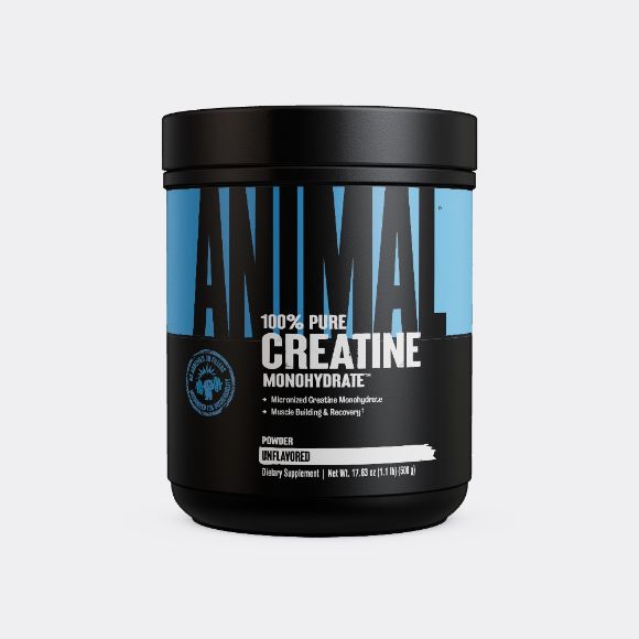 Universal Animal Creatine Monohydrate resmi
